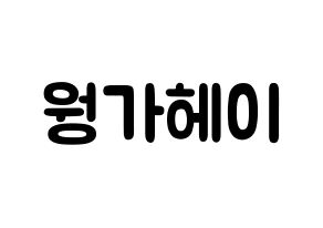 KPOP LOONA(이달의 소녀、今月の少女) 비비 (黄珈熙, ビビ) 応援ボード、うちわ無料型紙、応援グッズ 通常