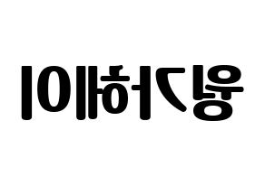 KPOP LOONA(이달의 소녀、今月の少女) 비비 (ビビ) コンサート用　応援ボード・うちわ　韓国語/ハングル文字型紙 左右反転