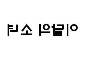 KPOP歌手 LOONA(이달의 소녀、今月の少女) 応援ボード型紙、うちわ型紙　韓国語/ハングル文字 左右反転