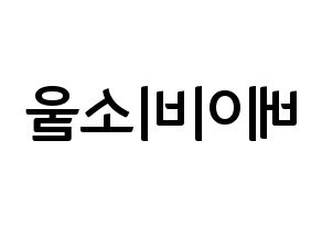 KPOP LOVELYZ(러블리즈、ラブリーズ) 베이비소울 (ベイビーソウル) k-pop アイドル名前 ファンサボード 型紙 左右反転