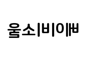 KPOP LOVELYZ(러블리즈、ラブリーズ) 베이비소울 (イ・スジョン, ベイビーソウル) k-pop アイドル名前　ボード 言葉 左右反転
