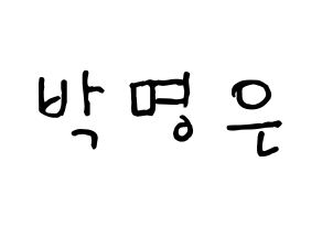 KPOP LOVELYZ(러블리즈、ラブリーズ) 진 (ジン) k-pop 応援ボード メッセージ 型紙 通常