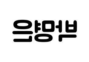 KPOP LOVELYZ(러블리즈、ラブリーズ) 진 (パク・ミョンウン, ジン) 応援ボード、うちわ無料型紙、応援グッズ 左右反転