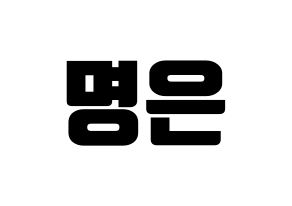 KPOP LOVELYZ(러블리즈、ラブリーズ) 진 (ジン) コンサート用　応援ボード・うちわ　韓国語/ハングル文字型紙 通常