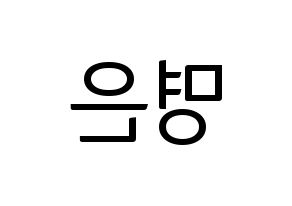 KPOP LOVELYZ(러블리즈、ラブリーズ) 진 (ジン) コンサート用　応援ボード・うちわ　韓国語/ハングル文字型紙 左右反転