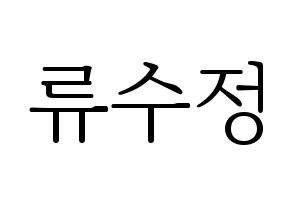 KPOP LOVELYZ(러블리즈、ラブリーズ) 수정 (スジョン) 応援ボード・うちわ　韓国語/ハングル文字型紙 通常