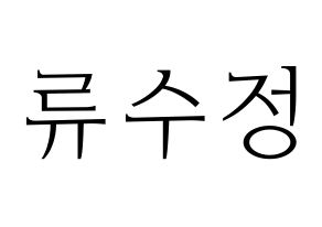 KPOP LOVELYZ(러블리즈、ラブリーズ) 수정 (スジョン) 応援ボード・うちわ　韓国語/ハングル文字型紙 通常