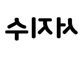 KPOP LOVELYZ(러블리즈、ラブリーズ) 지수 (ジス) 応援ボード・うちわ　韓国語/ハングル文字型紙 左右反転