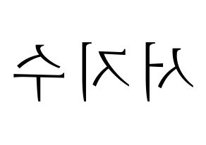 KPOP LOVELYZ(러블리즈、ラブリーズ) 지수 (ジス) 応援ボード・うちわ　韓国語/ハングル文字型紙 左右反転