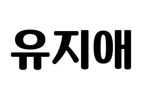 KPOP LOVELYZ(러블리즈、ラブリーズ) 지애 (ジエ) コンサート用　応援ボード・うちわ　韓国語/ハングル文字型紙 通常