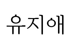 KPOP LOVELYZ(러블리즈、ラブリーズ) 지애 (ジエ) 応援ボード・うちわ　韓国語/ハングル文字型紙 通常
