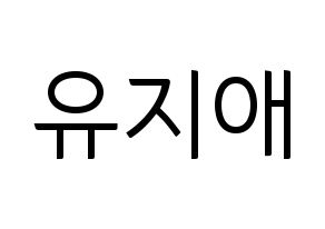 KPOP LOVELYZ(러블리즈、ラブリーズ) 지애 (ジエ) コンサート用　応援ボード・うちわ　韓国語/ハングル文字型紙 通常