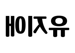 KPOP LOVELYZ(러블리즈、ラブリーズ) 지애 (ジエ) コンサート用　応援ボード・うちわ　韓国語/ハングル文字型紙 左右反転
