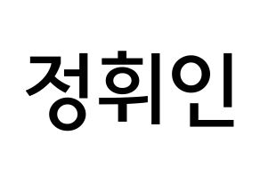 KPOP Mamamoo(마마무、ママムー) 휘인 (チョン・ウィイン, フィイン) 無料サイン会用、イベント会用応援ボード型紙 通常