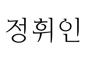 KPOP Mamamoo(마마무、ママムー) 휘인 (フィイン) 応援ボード・うちわ　韓国語/ハングル文字型紙 通常