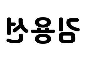 KPOP Mamamoo(마마무、ママムー) 솔라 (ソラ) 応援ボード・うちわ　韓国語/ハングル文字型紙 左右反転