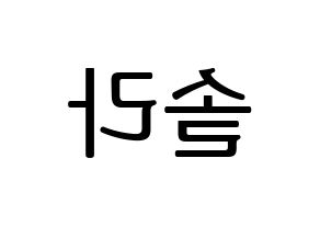 KPOP Mamamoo(마마무、ママムー) 솔라 (ソラ) プリント用応援ボード型紙、うちわ型紙　韓国語/ハングル文字型紙 左右反転