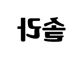 KPOP Mamamoo(마마무、ママムー) 솔라 (ソラ) コンサート用　応援ボード・うちわ　韓国語/ハングル文字型紙 左右反転