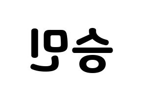 KPOP MCND(엠씨엔디、エムシーエヌディー) 빅 (ビック) 応援ボード・うちわ　韓国語/ハングル文字型紙 左右反転