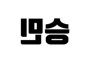 KPOP MCND(엠씨엔디、エムシーエヌディー) 빅 (ビック) コンサート用　応援ボード・うちわ　韓国語/ハングル文字型紙 左右反転