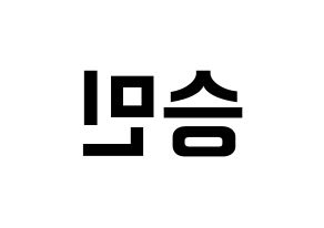 KPOP MCND(엠씨엔디、エムシーエヌディー) 빅 (ビック) k-pop アイドル名前 ファンサボード 型紙 左右反転