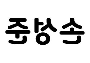 KPOP MCND(엠씨엔디、エムシーエヌディー) 캐슬제이 (キャッスルジェイ) 応援ボード・うちわ　韓国語/ハングル文字型紙 左右反転