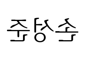 KPOP MCND(엠씨엔디、エムシーエヌディー) 캐슬제이 (キャッスルジェイ) 応援ボード・うちわ　韓国語/ハングル文字型紙 左右反転