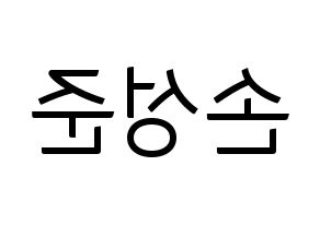KPOP MCND(엠씨엔디、エムシーエヌディー) 캐슬제이 (キャッスルジェイ) コンサート用　応援ボード・うちわ　韓国語/ハングル文字型紙 左右反転