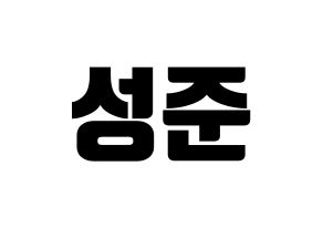 KPOP MCND(엠씨엔디、エムシーエヌディー) 캐슬제이 (キャッスルジェイ) コンサート用　応援ボード・うちわ　韓国語/ハングル文字型紙 通常