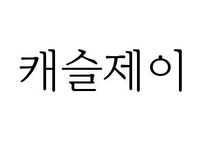 KPOP MCND(엠씨엔디、エムシーエヌディー) 캐슬제이 (キャッスルジェイ) 応援ボード・うちわ　韓国語/ハングル文字型紙 通常