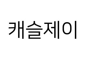 KPOP MCND(엠씨엔디、エムシーエヌディー) 캐슬제이 (キャッスルジェイ) プリント用応援ボード型紙、うちわ型紙　韓国語/ハングル文字型紙 通常