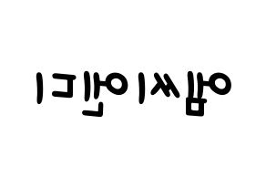 KPOP MCND(엠씨엔디、エムシーエヌディー) 応援ボード 作り方 左右反転