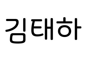 KPOP MOMOLAND(모모랜드、モモランド) 태하 (キム・テハ, テハ) 無料サイン会用、イベント会用応援ボード型紙 通常