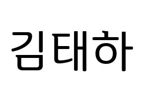 KPOP MOMOLAND(모모랜드、モモランド) 태하 (テハ) プリント用応援ボード型紙、うちわ型紙　韓国語/ハングル文字型紙 通常