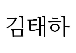 KPOP MOMOLAND(모모랜드、モモランド) 태하 (テハ) 応援ボード・うちわ　韓国語/ハングル文字型紙 通常