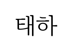 KPOP MOMOLAND(모모랜드、モモランド) 태하 (テハ) 応援ボード・うちわ　韓国語/ハングル文字型紙 通常