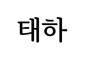KPOP MOMOLAND(모모랜드、モモランド) 태하 (テハ) プリント用応援ボード型紙、うちわ型紙　韓国語/ハングル文字型紙 通常