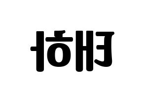 KPOP MOMOLAND(모모랜드、モモランド) 태하 (テハ) コンサート用　応援ボード・うちわ　韓国語/ハングル文字型紙 左右反転