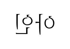 KPOP MOMOLAND(모모랜드、モモランド) 아인 (アイン) 応援ボード・うちわ　韓国語/ハングル文字型紙 左右反転