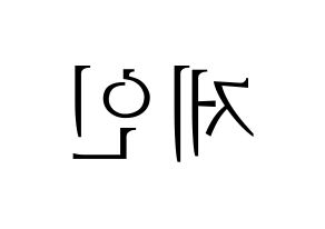KPOP MOMOLAND(모모랜드、モモランド) 제인 (ジェイン) 応援ボード・うちわ　韓国語/ハングル文字型紙 左右反転