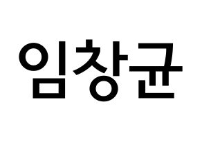 KPOP MONSTA X(몬스타엑스、モンスタ・エックス) 아이엠 (イム・チャンギュン, アイ・エム) 無料サイン会用、イベント会用応援ボード型紙 通常