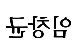 KPOP MONSTA X(몬스타엑스、モンスタ・エックス) 아이엠 (アイ・エム) プリント用応援ボード型紙、うちわ型紙　韓国語/ハングル文字型紙 左右反転
