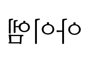 KPOP MONSTA X(몬스타엑스、モンスタ・エックス) 아이엠 (アイ・エム) 応援ボード・うちわ　韓国語/ハングル文字型紙 左右反転