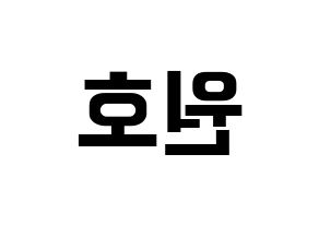 KPOP MONSTA X(몬스타엑스、モンスタ・エックス) 원호 (ウォノ) k-pop アイドル名前 ファンサボード 型紙 左右反転