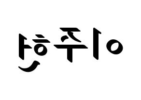 KPOP MONSTA X(몬스타엑스、モンスタ・エックス) 주헌 (ジュホン) 応援ボード ハングル 型紙  左右反転