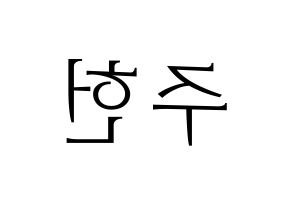 KPOP MONSTA X(몬스타엑스、モンスタ・エックス) 주헌 (ジュホン) 応援ボード・うちわ　韓国語/ハングル文字型紙 左右反転