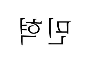 KPOP MONSTA X(몬스타엑스、モンスタ・エックス) 민혁 (ミニョク) 応援ボード・うちわ　韓国語/ハングル文字型紙 左右反転