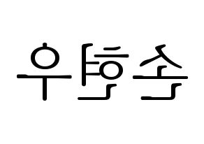 KPOP MONSTA X(몬스타엑스、モンスタ・エックス) 셔누 (ショヌ) 応援ボード・うちわ　韓国語/ハングル文字型紙 左右反転