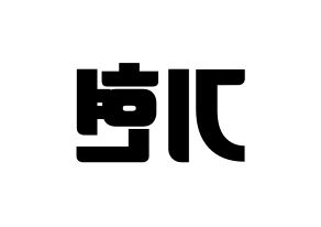 KPOP MONSTA X(몬스타엑스、モンスタ・エックス) 기현 (キヒョン) コンサート用　応援ボード・うちわ　韓国語/ハングル文字型紙 左右反転