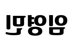 KPOP MXM(엠엑스엠、エムエックスエム) 임영민 (ヨンミン) コンサート用　応援ボード・うちわ　韓国語/ハングル文字型紙 左右反転